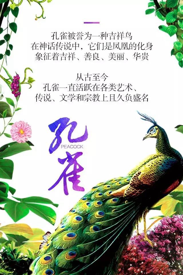 【915-918邵陽秋季車展】鳳臨枝頭，雀雀雀雀雀實(shí)驚艷！