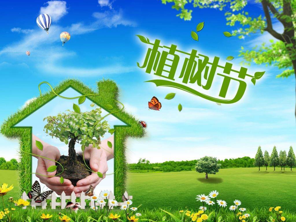 北京現(xiàn)代“智現(xiàn)代，植未來”，你我共建森林邵陽