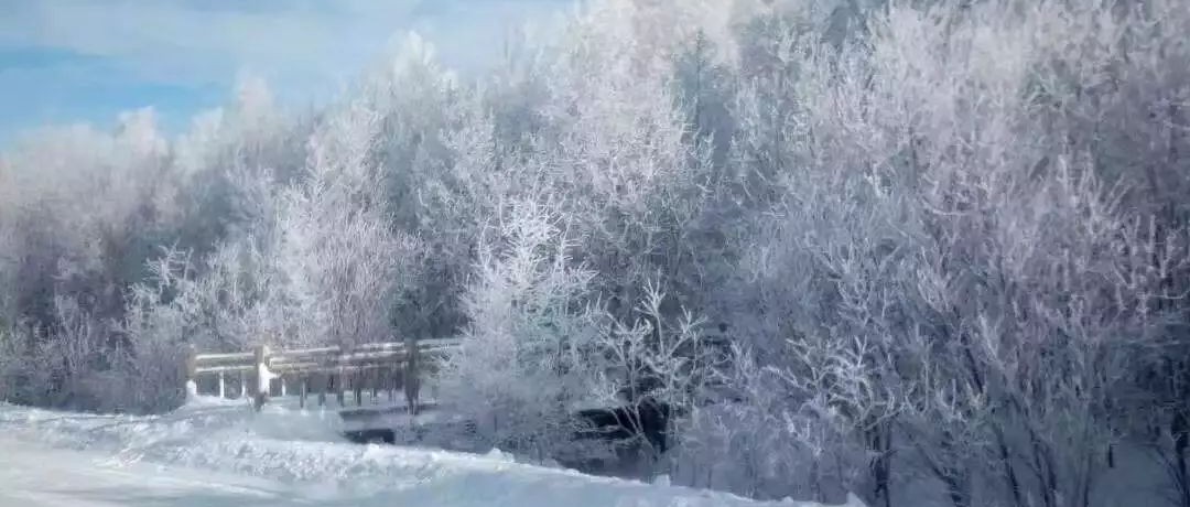 奕行記|奕路向北，駛向雪國阿爾山